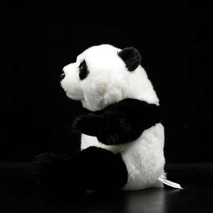 Panda Plush Bear Design